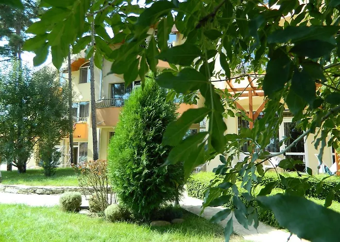 Family Privileg 3* Солнечный берег